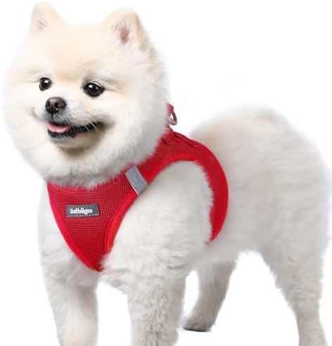 rabbitgoo Step-in Small Dog Harness, Puppy Vest by rabbitgoo