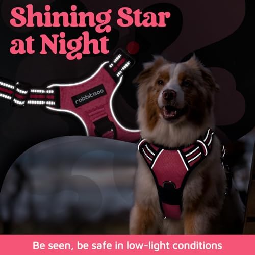 rabbitgoo Dog Harness Small Sized, No Pull 3 Buckles Easy On & Off - Image 6