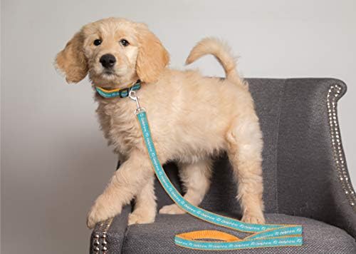 NFL Miami Dolphins Dog & Cat Leash - Image 3