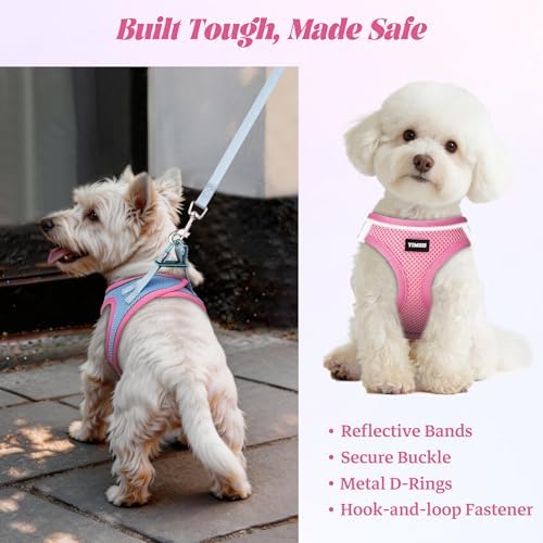 No Pull Dog Puppy Harness and Leash Set Reflective Mesh Vest Large - Image 5