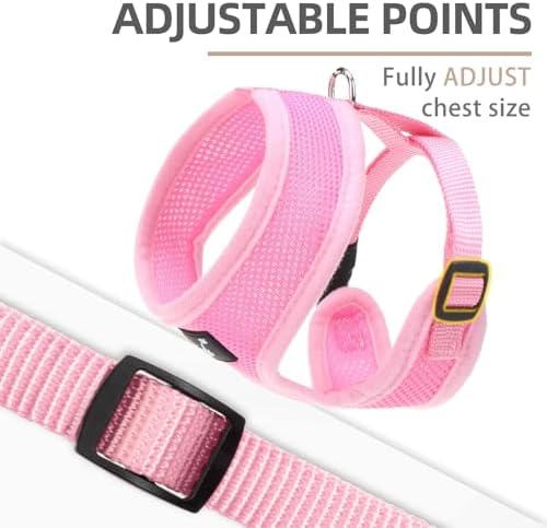 PUPTECK Small Dog Harness and Leash Set No Pull - Image 3
