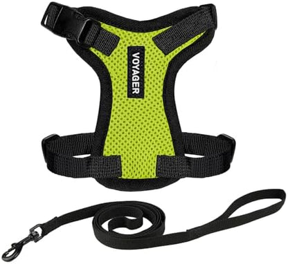 Voyager Step-in Lock Cat Harness & Leash Set by BestPetSuppliesLLC