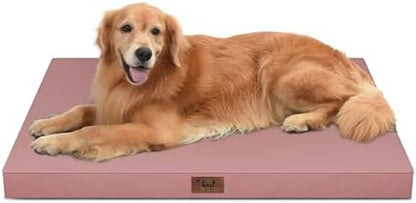 Waterproof Orthopedic Outdoor Dog Bed XL by TailStories