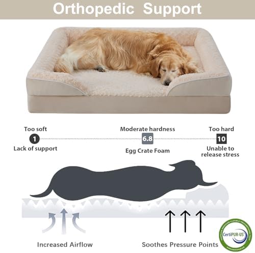 WNPETHOME Orthopedic Washable Dog Bed Large - Image 3
