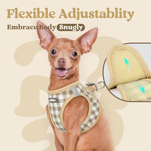 rabbitgoo Step-in Small Dog Harness, Puppy Vest - Image 7