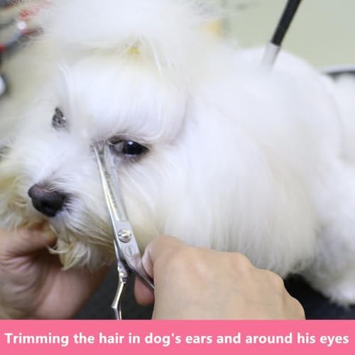 HASHIMOTO Small Dog Grooming Scissors - Image 4