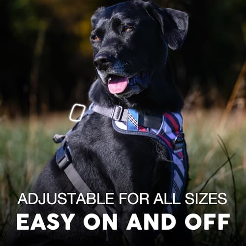 Embark No Pull Dog Harness, Reflective Adjustable Training Vest, No Choke - Image 4
