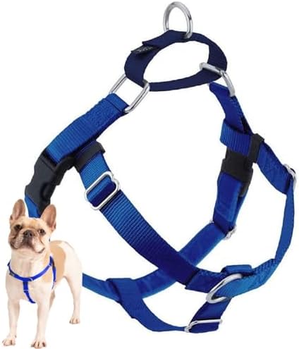 2 Hounds Design Freedom No Pull Dog Harness, 1 inch XL, Royal Blue by 2HoundsDesign