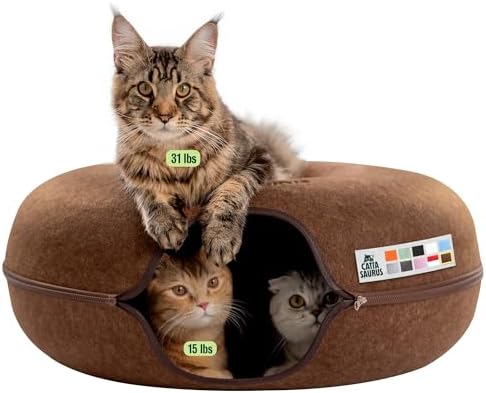 Cattasaurus Peekaboo Cat Cave Donut by Cattasaurus