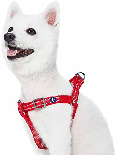 Blueberry Pet Essentials Step-in Reflective Back to Basics Dog Harness by BlueberryPet
