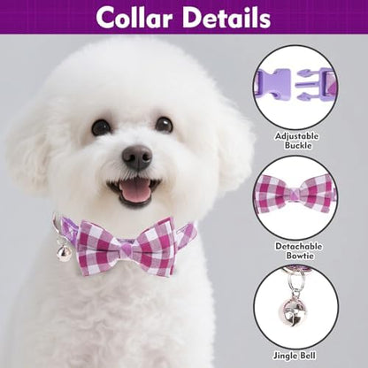 EXPAWLORER Step-in Dog Harness Small Sized Collar and Leash Set - Image 4