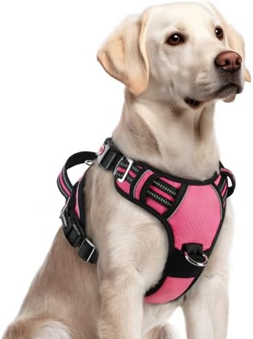 rabbitgoo Dog Harness for Large, No Pull 3 Buckles Easy On & Off by rabbitgoo