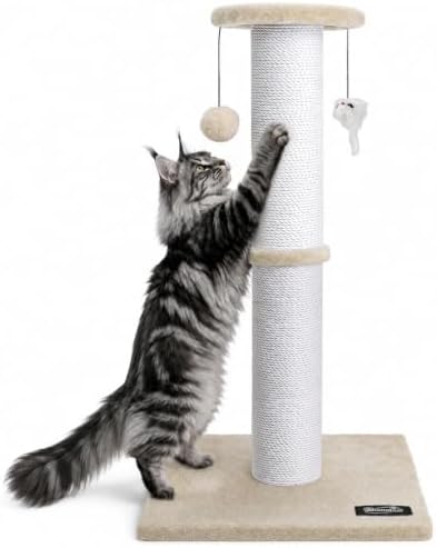 34-Inch Tall Cat Scratching Post by Ahomdoo