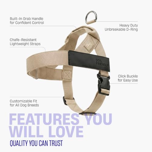 Dog Friendly Co. Dog Harness for Large Dogs - Image 4