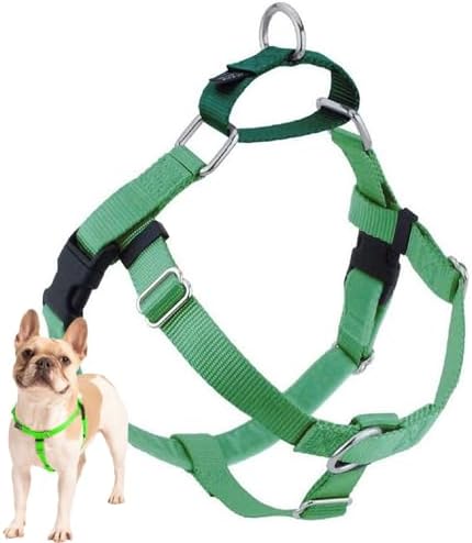 2 Hounds Design Freedom No Pull Dog Harness, 1 inch LG, Neon Green by 2HoundsDesign