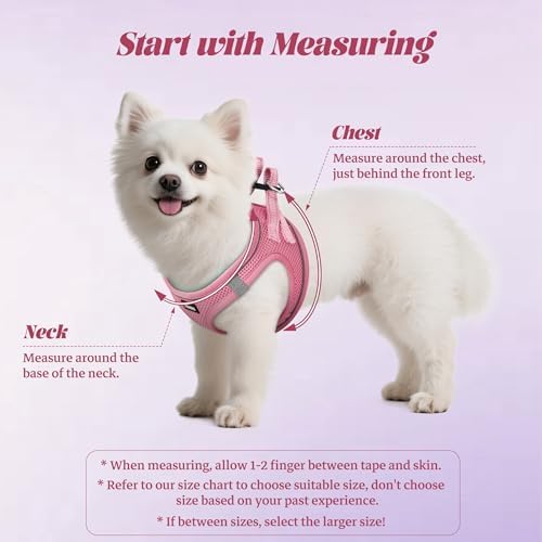 No Pull Dog Puppy Harness and Leash Set Reflective Mesh Vest Large - Image 2