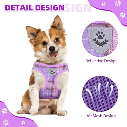 KOOLTAIL Dog Harness and Leash Set - Image 4