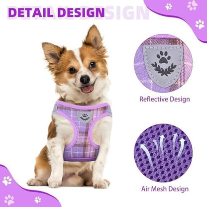 KOOLTAIL Dog Harness and Leash Set - Image 4