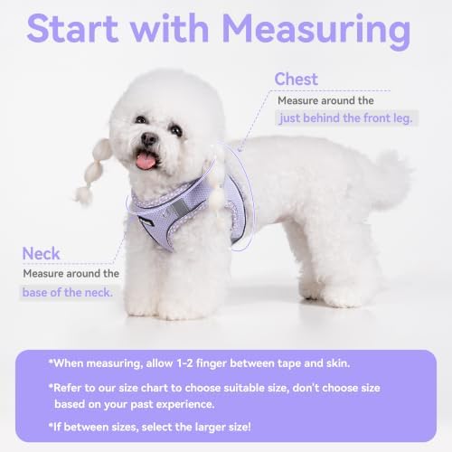 Petank Step in Dog Harness No Pull and Leash - Image 4