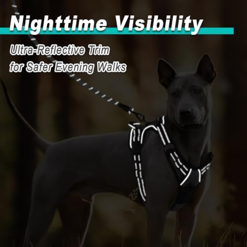 BARKBAY Dog Harness for Small Sized Dog No Pull 2 Leash Clips Dog Vest - Image 5