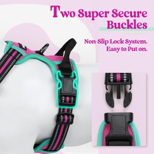 rabbitgoo Dog Harness, No Pull for Large Dogs - Image 3