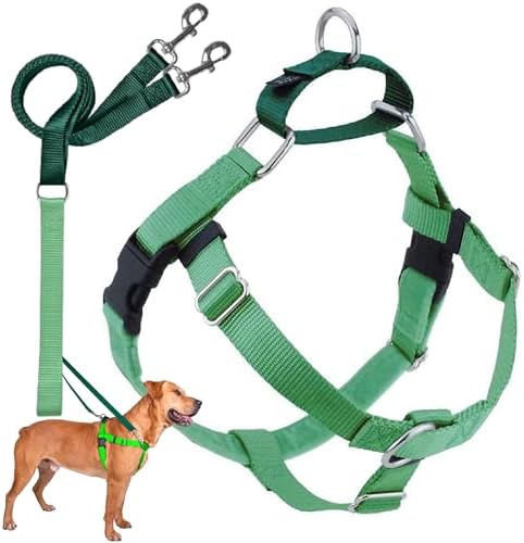 2 Hounds Design Freedom No Pull Dog Harness and Leash, 5/8" MD, Neon Green by 2HoundsDesign