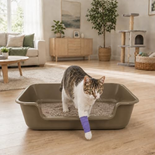Extra Large Low Entry ABS Cat Litter Box, 2 Pack - Image 3