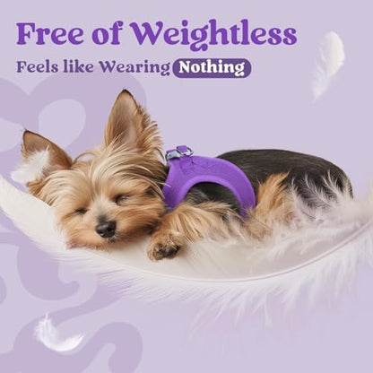 rabbitgoo Step-in Small Dog Harness, Puppy Vest - Image 4