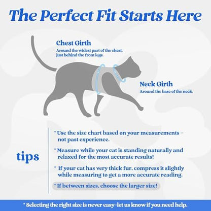 rabbitgoo Cat Harness and Leash Set, Step-in Soft Vest - Image 2