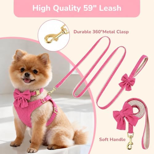 Small Dog Collar Harness and Leash Set - Image 5