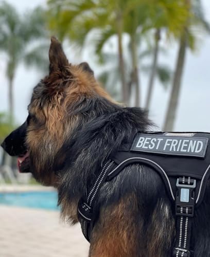 AUROTH Tactical Dog Harness for Large Dogs, Heavy Duty No Pull Pet Vest - Image 2
