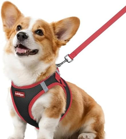 rabbitgoo Dog Harness Small Sized and Leash Set, Step in Soft Vest by rabbitgoo