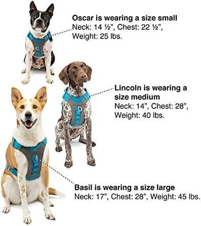 Kurgo Journey Air Dog Harness, Extra Large - Image 5