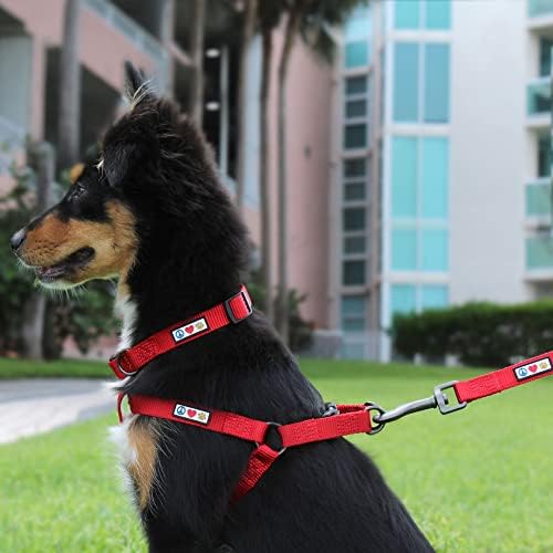 Pawtitas Solid Step-in Dog Harness – Adjustable No-Pull Vest - Image 2