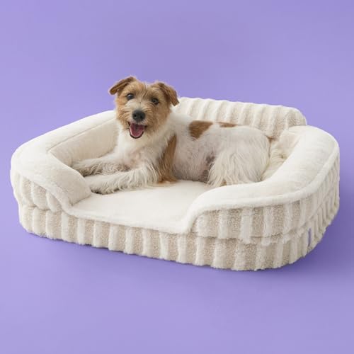 LE SURE Cute Cozy High Back Orthopedic Dog Beds Medium Size Dog by Lesure