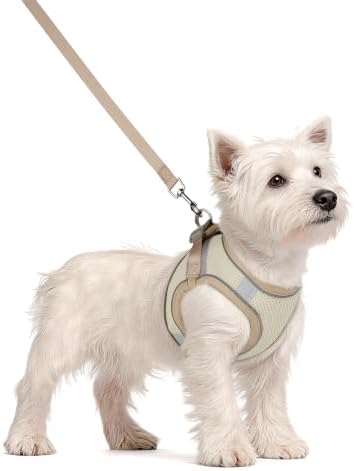 Solmoony Dog Harness for Small Medium Dogs No Pull, Puppy Harness and Leash Set - Image 2