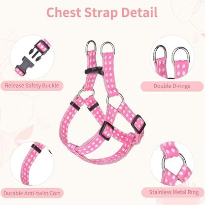 BINGPET No Pull Dog Harness Leash Collar Set, Adjustable Step-in Vest - Image 3