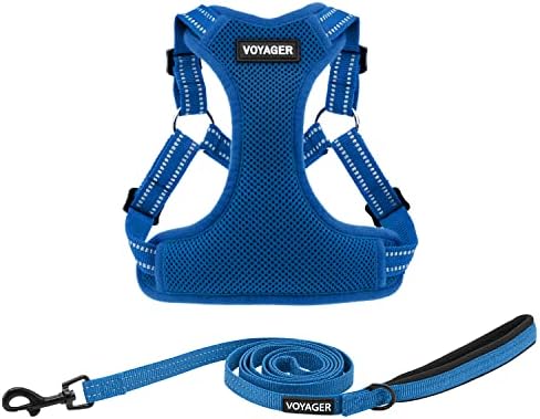 Best Pet Supplies Voyager Adjustable Step-in Flex Breathable Mesh Dog Harness by BestPetSuppliesLLC