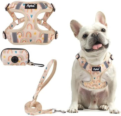 PUPTECK Dog Harness and Leash Set Medium Sized, Step in No Pull Adjustable by PUPTECK