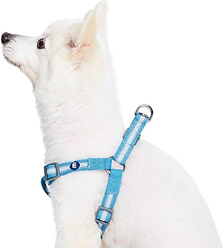 Blueberry Pet Essentials Step-in Reflective Back to Basics Dog Harness by BlueberryPet