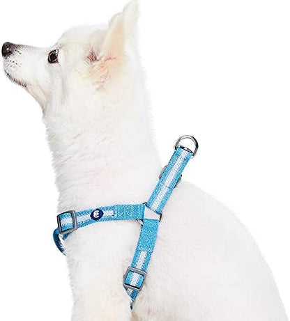 Blueberry Pet Essentials Step-in Reflective Back to Basics Dog Harness by BlueberryPet