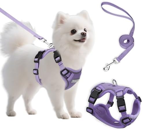 Small Dog Harness and Leash Set, Adjustable Small Sized Pet Vest by Unknown
