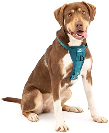 Kurgo Enhanced Strength Tru-Fit Dog Car Harness by Kurgo