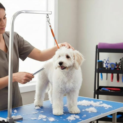 Dog Grooming Leash - Image 5