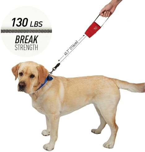 Nite Ize RadDog Retractable Pocket Leash - Image 4