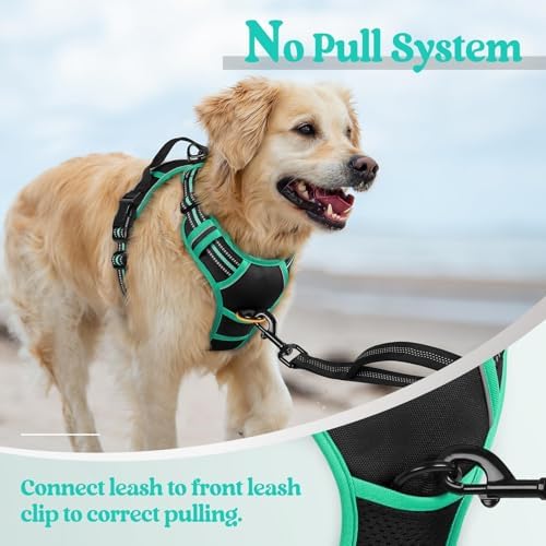 rabbitgoo Dog Harness, No Pull for Large Dogs - Image 5