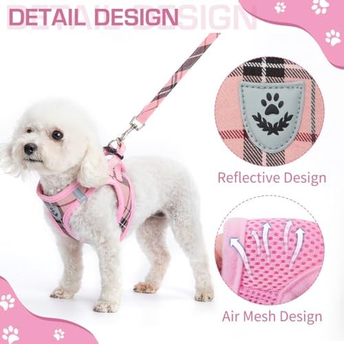 KOOLTAIL Dog Harness for Small Medium Dogs, Dog Harness and Leash Set, Step in - Image 5