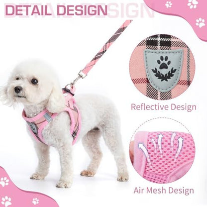 KOOLTAIL Dog Harness for Small Medium Dogs, Dog Harness and Leash Set, Step in - Image 5