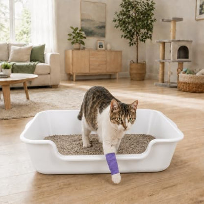 Extra Large Low Entry ABS Cat Litter Box, 1 Pack - Image 3
