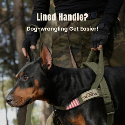 Forestpaw No Pull Dog Harness - Image 2